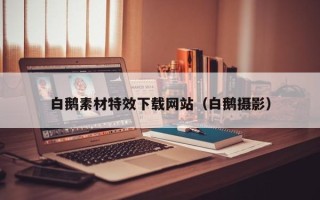 鄢陵白鹅素材特效下载网站（白鹅摄影）